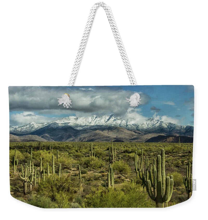 Arizona Weekender Tote Bag featuring the photograph Winter Sonoran Style #2 by Saija Lehtonen