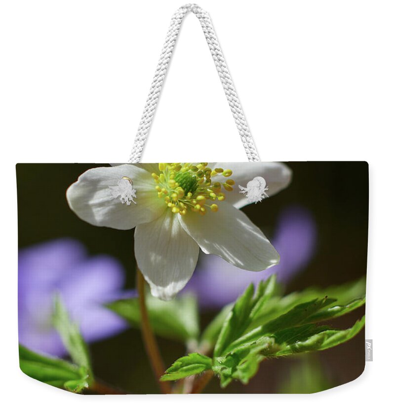 Anemone Nemorosa Weekender Tote Bag featuring the photograph Wood Anemone 1 #1 by Jouko Lehto