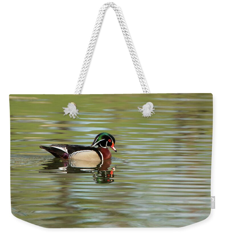 Birds Weekender Tote Bag featuring the photograph Wood Duck #1 by Celine Pollard