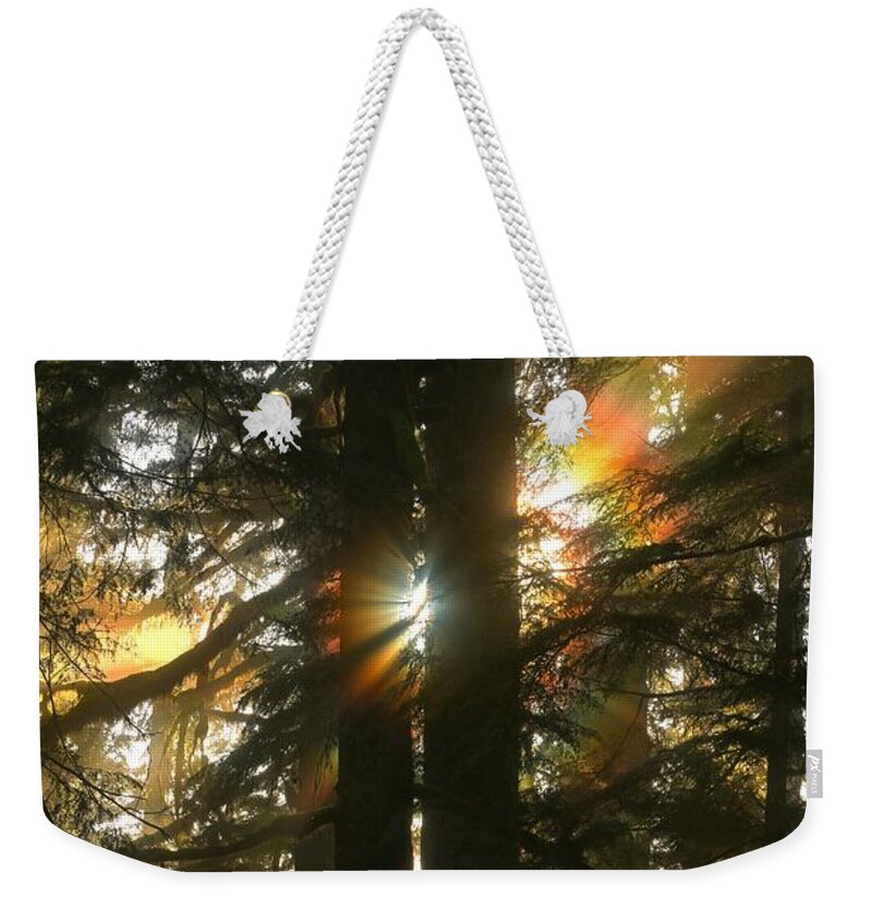 Sol Duc Weekender Tote Bag featuring the photograph Rainforest Rainbow by Adam Jewell