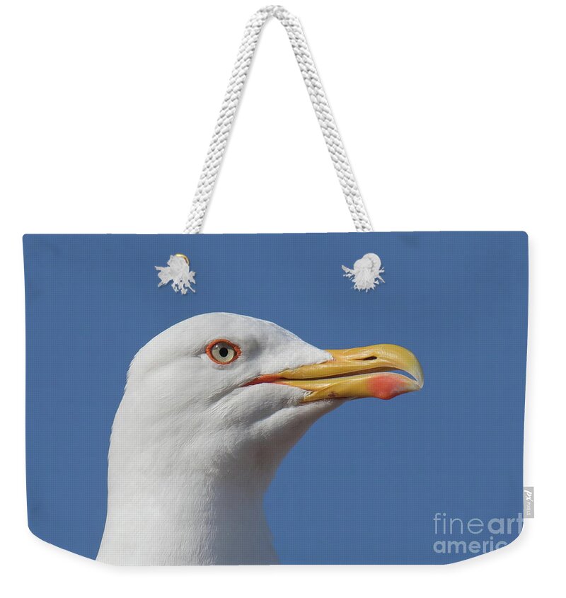 Animal Weekender Tote Bag featuring the photograph Yellow-legged gull - Larus michahellis #1 by Jivko Nakev