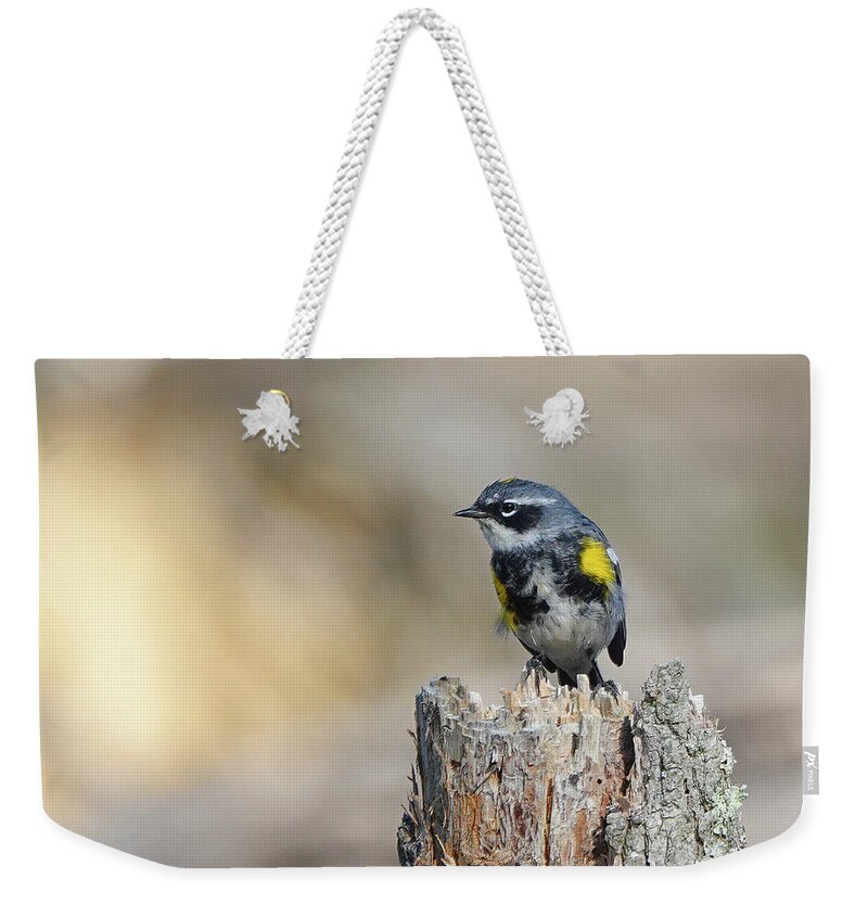 Yellow Weekender Tote Bag featuring the photograph Yellow Rumped Warbler #1 by Jack Nevitt