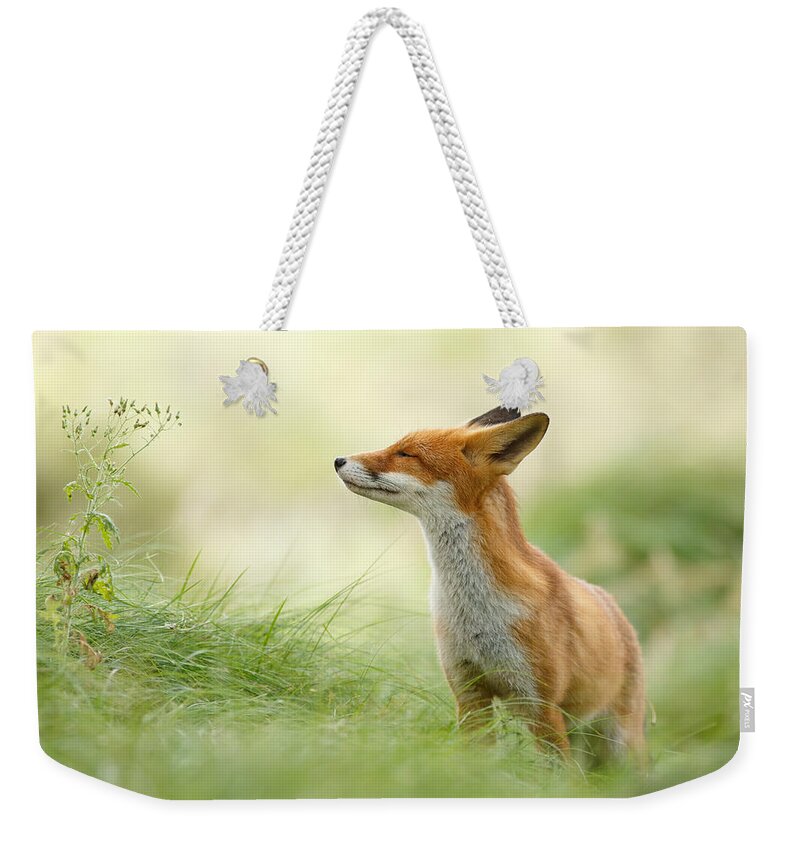 Fox Weekender Tote Bag featuring the photograph Zen Fox Series - Zen Fox by Roeselien Raimond