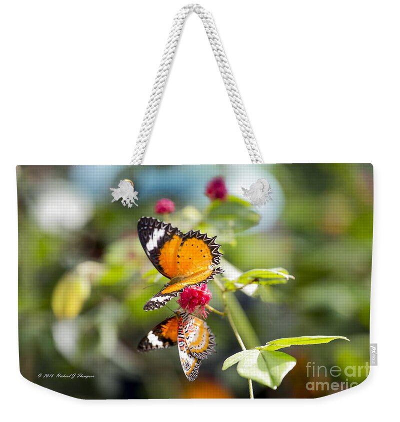 Butterfly Wonderland Weekender Tote Bag featuring the photograph Butterfly #2 by Richard J Thompson