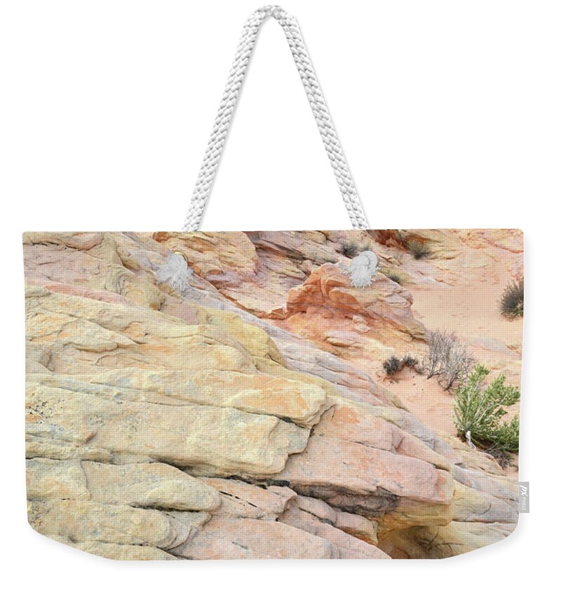 Valley Of Fire State Park Weekender Tote Bag featuring the photograph Colorful Sandstone in Valley of Fire #11 by Ray Mathis