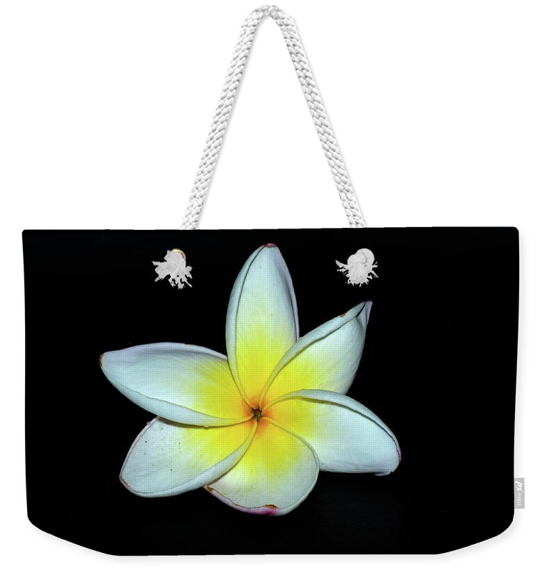 Photograph Weekender Tote Bag featuring the photograph Plumaria #10 by Larah McElroy
