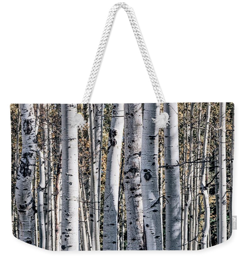 101 Dalmations Weekender Tote Bag featuring the photograph 101 Dalmations by Doug Sturgess