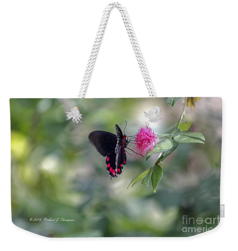 Butterfly Wonderland Weekender Tote Bag featuring the photograph Butterfly #4 by Richard J Thompson