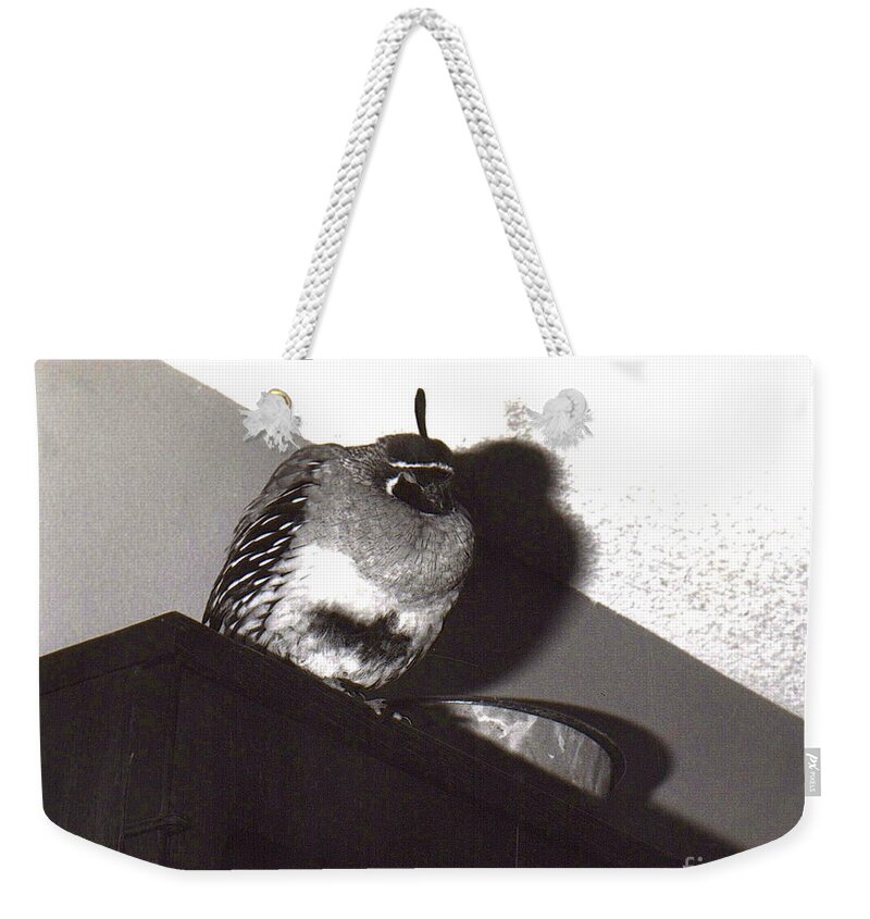 Nature Weekender Tote Bag featuring the photograph 11_He clearly preferred by Christopher Plummer