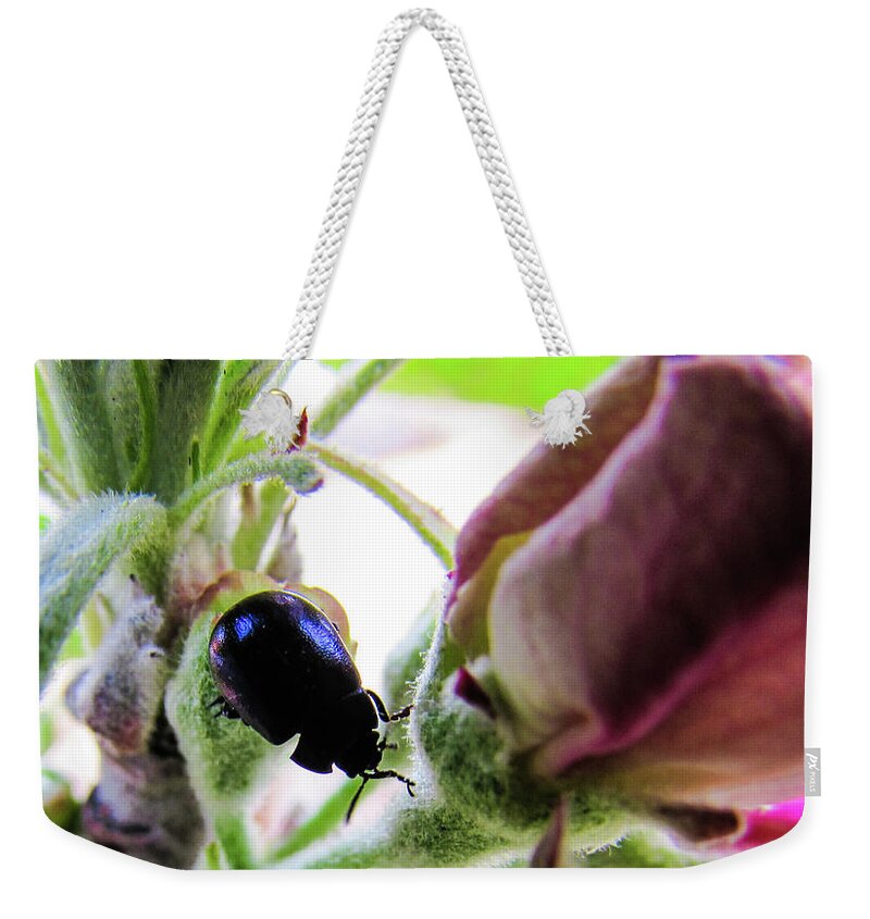 Bug Weekender Tote Bag featuring the photograph Bug #12 by Cesar Vieira