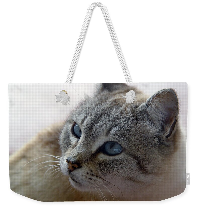 Cat Weekender Tote Bag featuring the digital art Cat #12 by Maye Loeser