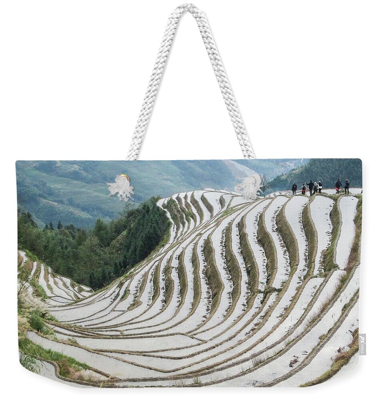 Scene Weekender Tote Bag featuring the photograph Terrace fields scenery in spring #12 by Carl Ning