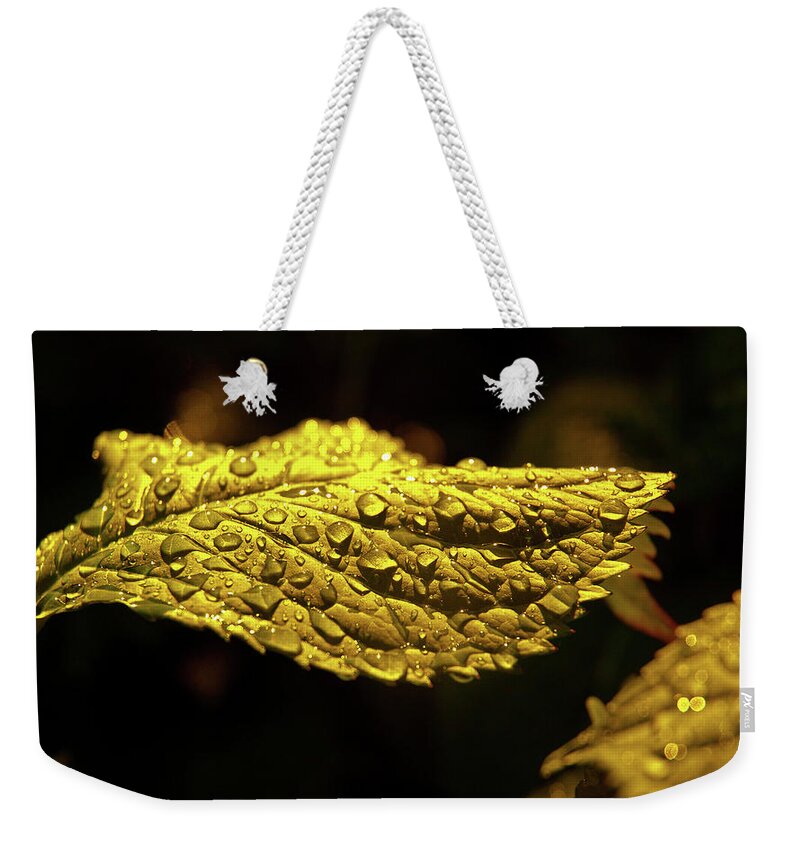 Water Drop Weekender Tote Bag featuring the photograph Water Drop #12 by Jackie Russo