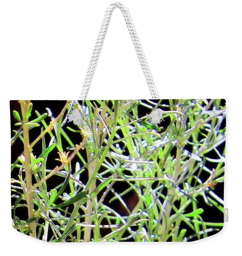 Spring Growth Weekender Tote Bag featuring the photograph 128 by Timothy Bulone