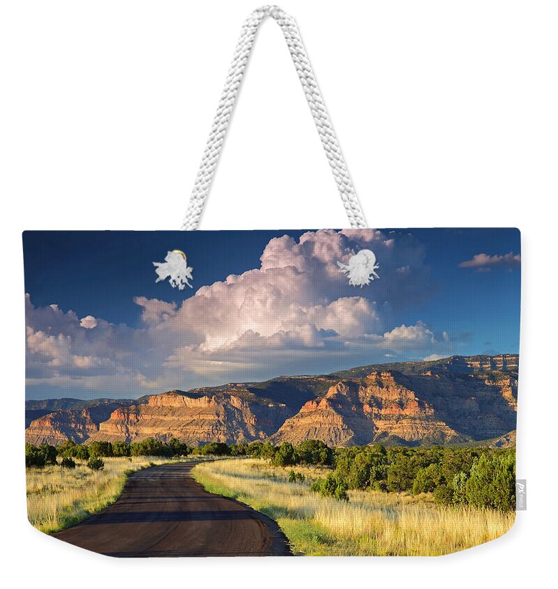 Path Weekender Tote Bag featuring the photograph Path #13 by Jackie Russo
