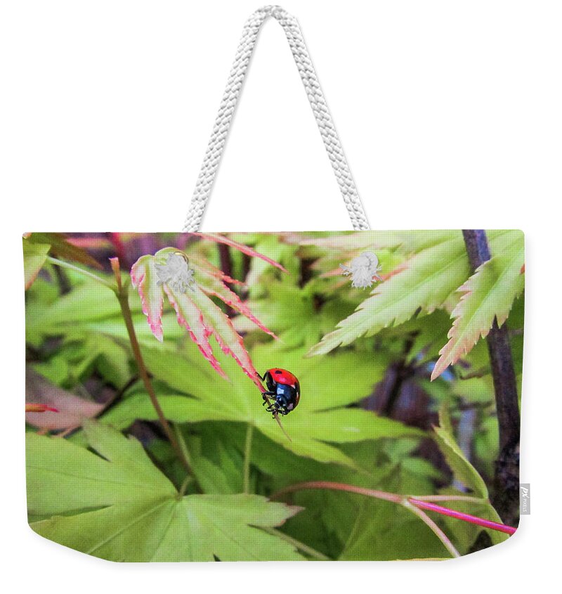 Ladybug Weekender Tote Bag featuring the photograph Bug #14 by Cesar Vieira