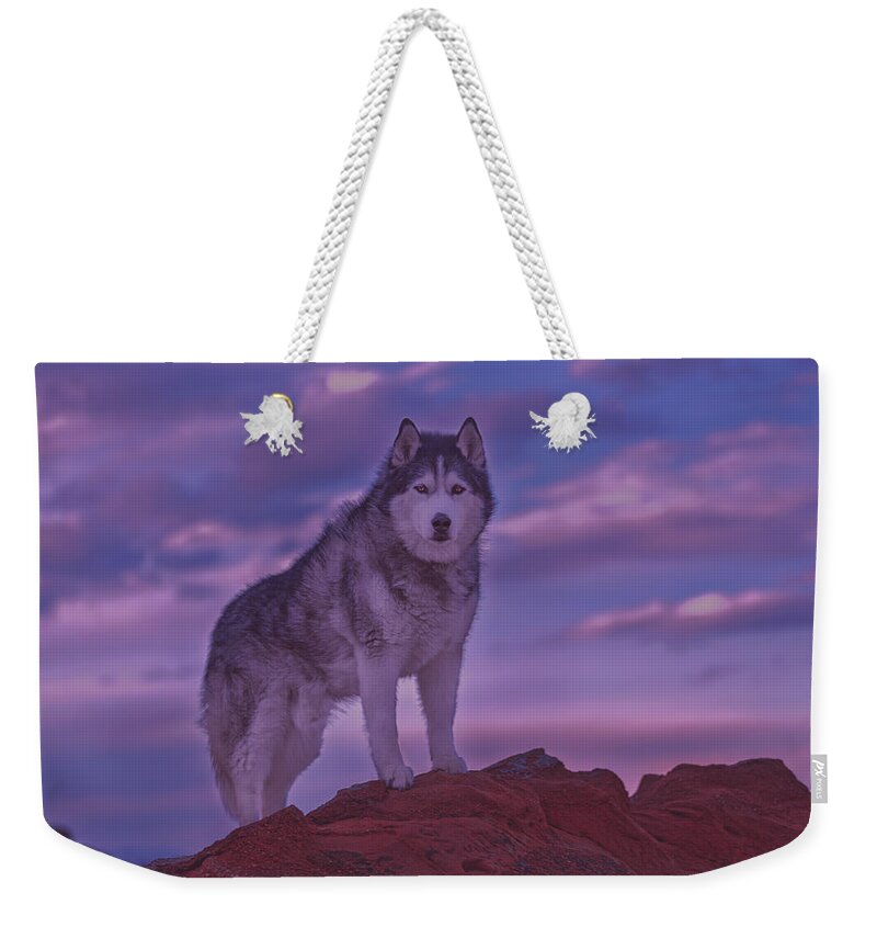 Animal Weekender Tote Bag featuring the photograph Timber #14 by Brian Cross