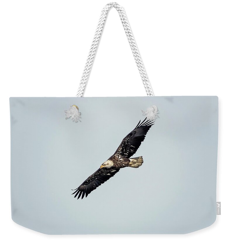 Illinois Weekender Tote Bag featuring the photograph Bald Eagle #15 by Peter Lakomy