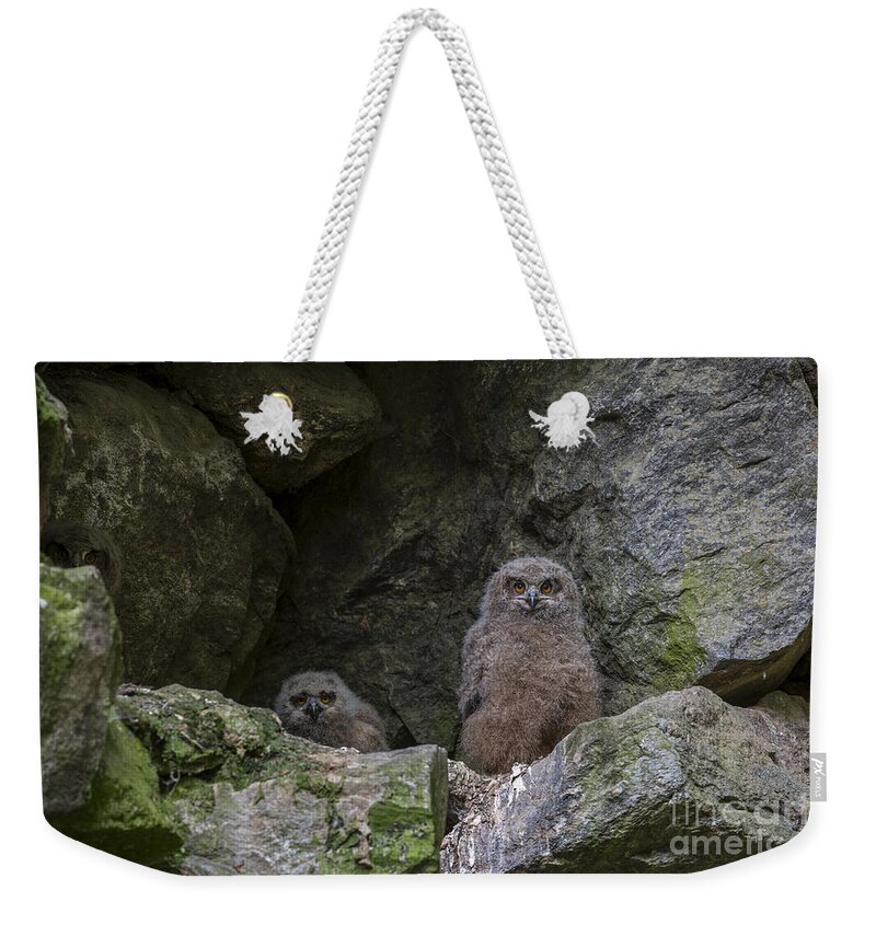 Young Weekender Tote Bag featuring the photograph 150501p126 by Arterra Picture Library