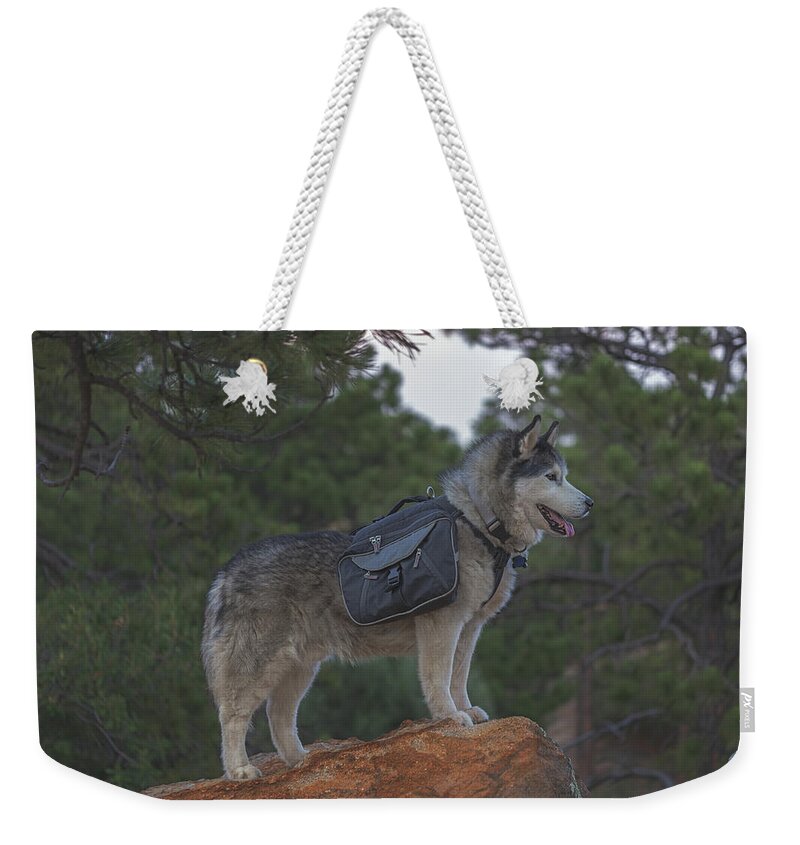 Animal Weekender Tote Bag featuring the photograph Timber #16 by Brian Cross