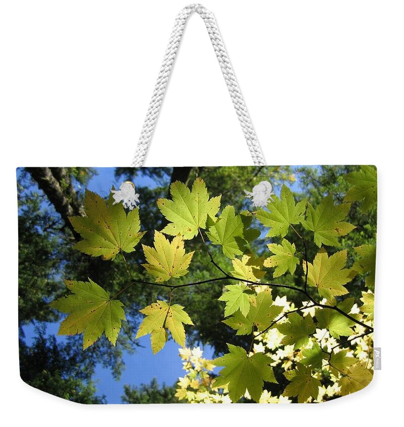 Close Up Weekender Tote Bag featuring the photograph Close Up #17 by Jackie Russo