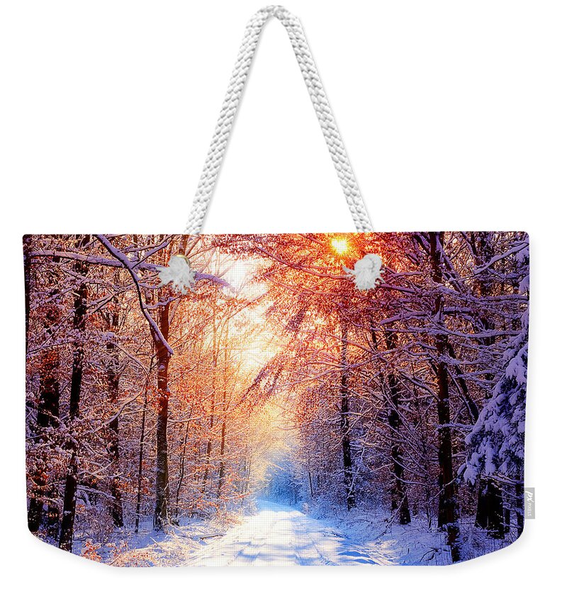 Winter Weekender Tote Bag featuring the photograph Winter #17 by Jackie Russo