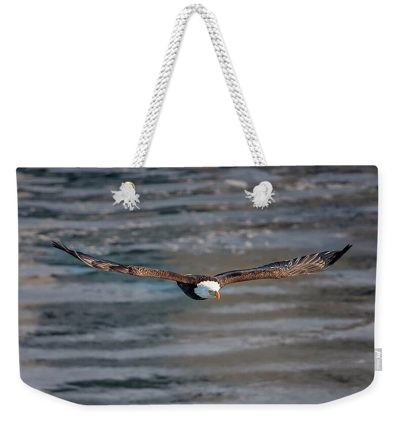 Illinois Weekender Tote Bag featuring the photograph Bald Eagle #18 by Peter Lakomy