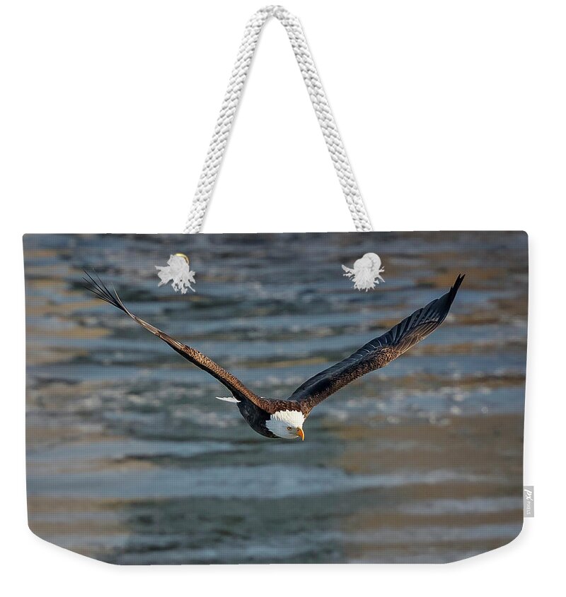 Illinois Weekender Tote Bag featuring the photograph Bald Eagle #19 by Peter Lakomy