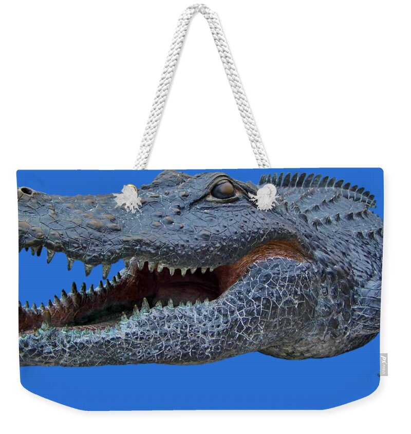 The Swamp Weekender Tote Bag featuring the photograph 1998 Bull Gator Up Close Transparent For Customization by D Hackett