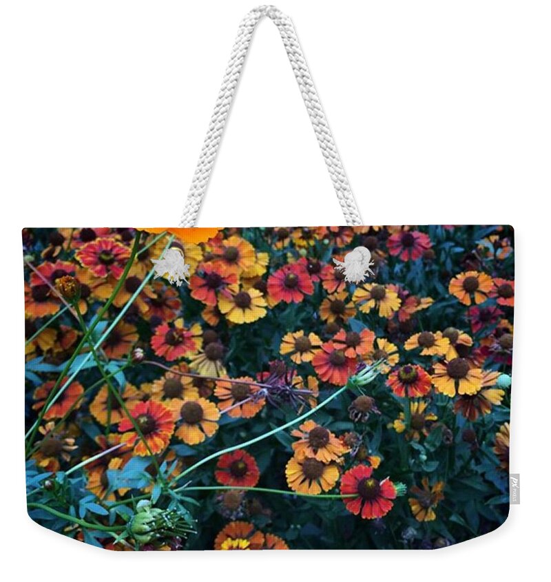  Weekender Tote Bag featuring the photograph 🌼 #2 by Katie Cupcakes