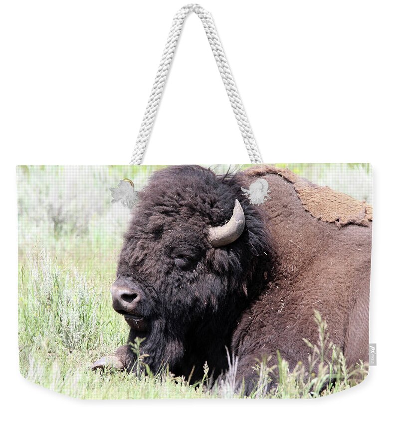 American Bison Weekender Tote Bag featuring the photograph American Bison Yellowstone USA #2 by Bob Savage