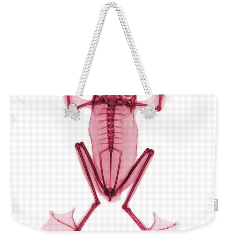 X-ray Weekender Tote Bag featuring the photograph An X-ray Of A Flying Frog #2 by Ted Kinsman
