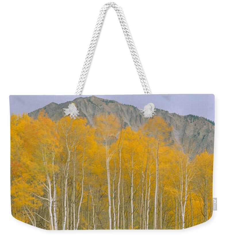 Photography Weekender Tote Bag featuring the photograph Autumn Clouds At Kebler Pass, Gunnison #2 by Panoramic Images