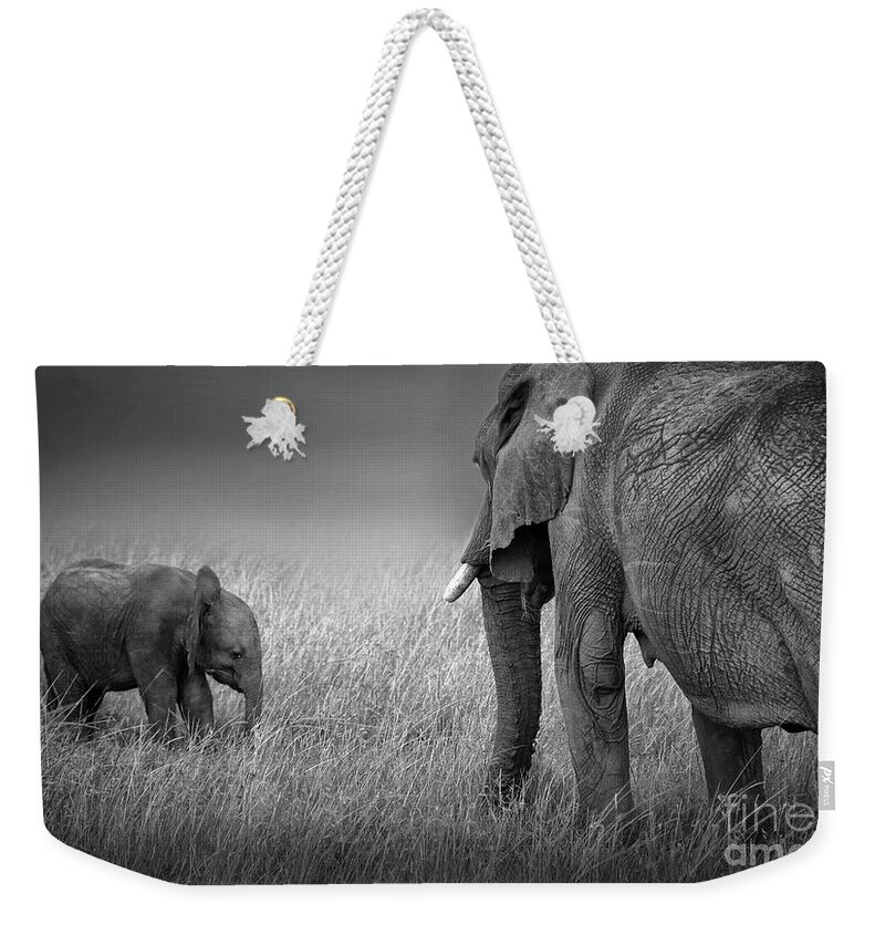 Baby Elephant Weekender Tote Bag featuring the photograph Baby Elephant #2 by Charuhas Images