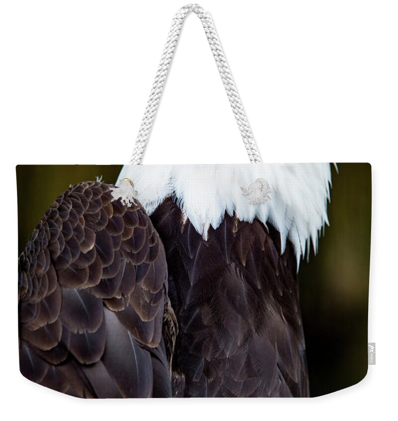Bird Weekender Tote Bag featuring the digital art Bald Eagle #2 by Birdly Canada