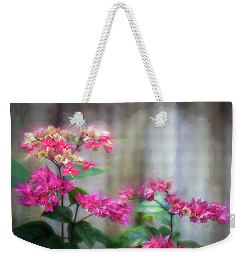 Bleeding Heart Weekender Tote Bag featuring the photograph Bleeding Heart Flowers Clerodendrum Painted #2 by Rich Franco
