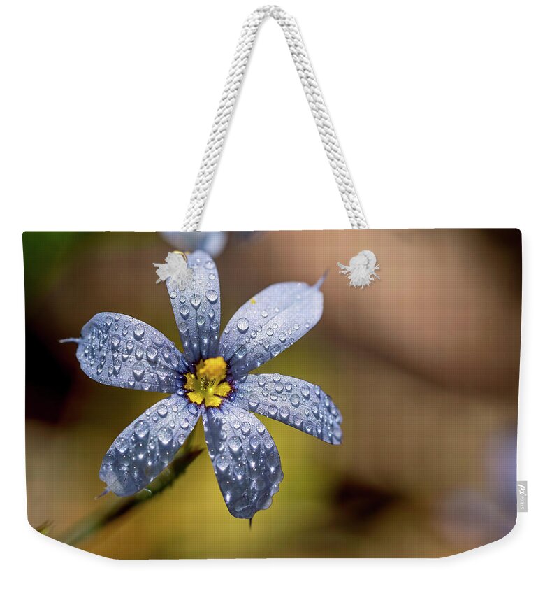 Flower Weekender Tote Bag featuring the photograph Blue Eyed Grass Flower by Brad Boland