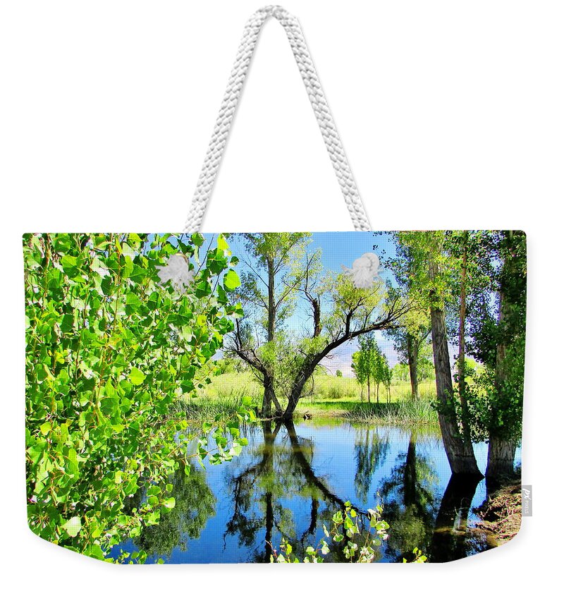 Nature Weekender Tote Bag featuring the photograph Blue Visions #2 by Marilyn Diaz