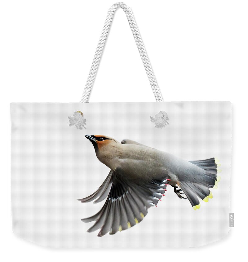 Bohemian Weekender Tote Bag featuring the photograph Bohemian Waxwing #2 by Mircea Costina Photography
