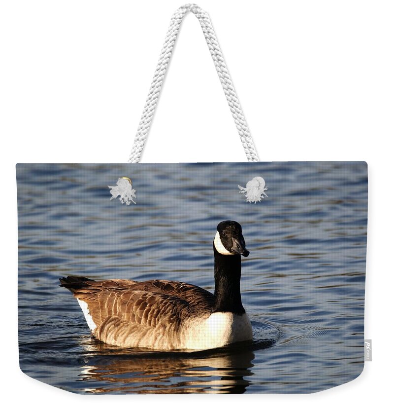 Canada Goose Weekender Tote Bag featuring the photograph Canada Goose #2 by Chris Day