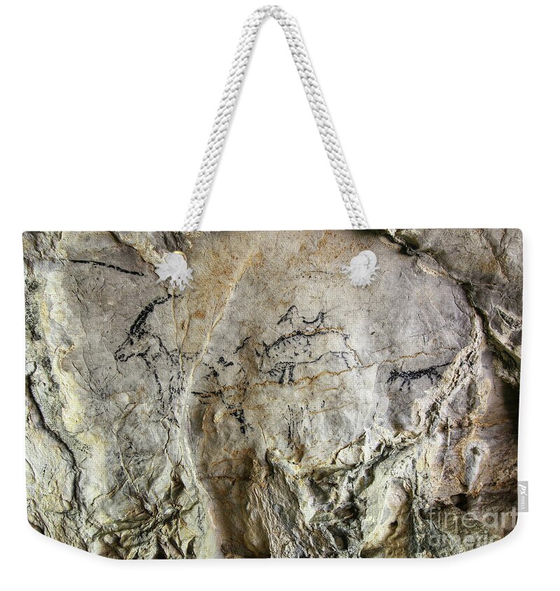 Aboriginal Weekender Tote Bag featuring the photograph Cave painting in prehistoric style #2 by Michal Boubin