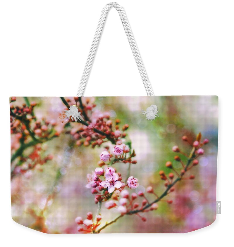 Cherry Blossoms Weekender Tote Bag featuring the photograph Cherry Blossoms in Spring #2 by Peggy Collins