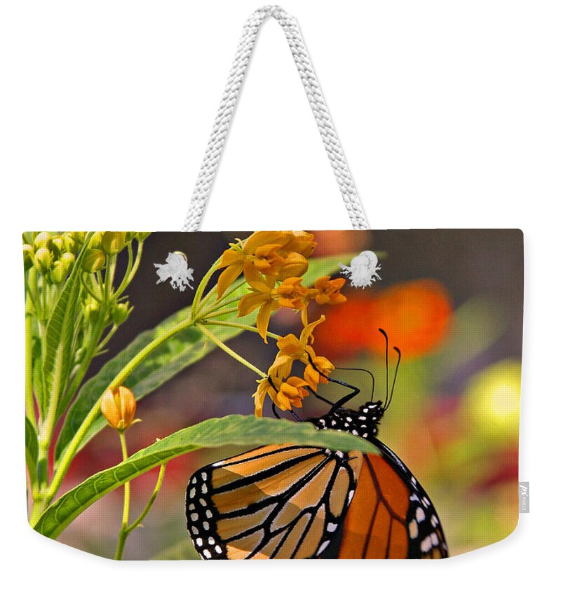  Weekender Tote Bag featuring the photograph Clinging Butterfly #2 by Matalyn Gardner