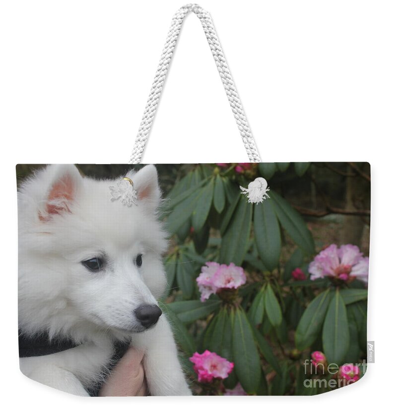 Dog Weekender Tote Bag featuring the photograph Daisy #2 by David Grant