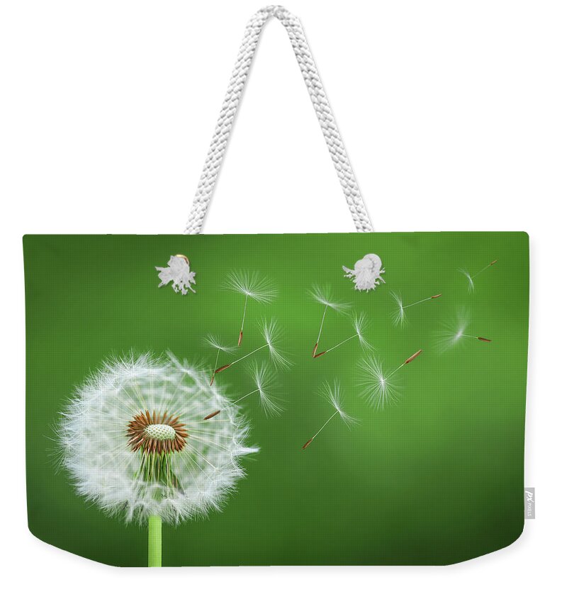 Abstract Weekender Tote Bag featuring the photograph Dandelion Blowing #2 by Bess Hamiti