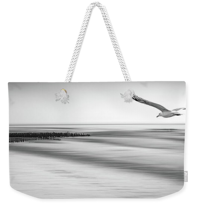 Beach Weekender Tote Bag featuring the photograph Desire Light Bw by Hannes Cmarits