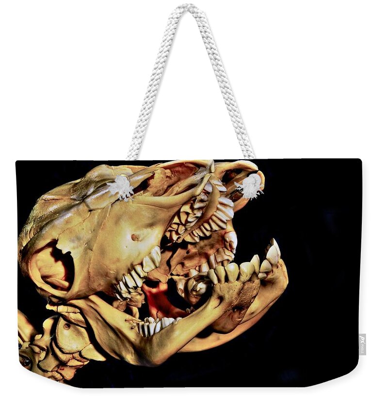 Dinosaur Weekender Tote Bag featuring the digital art Dinosaur #2 by Super Lovely