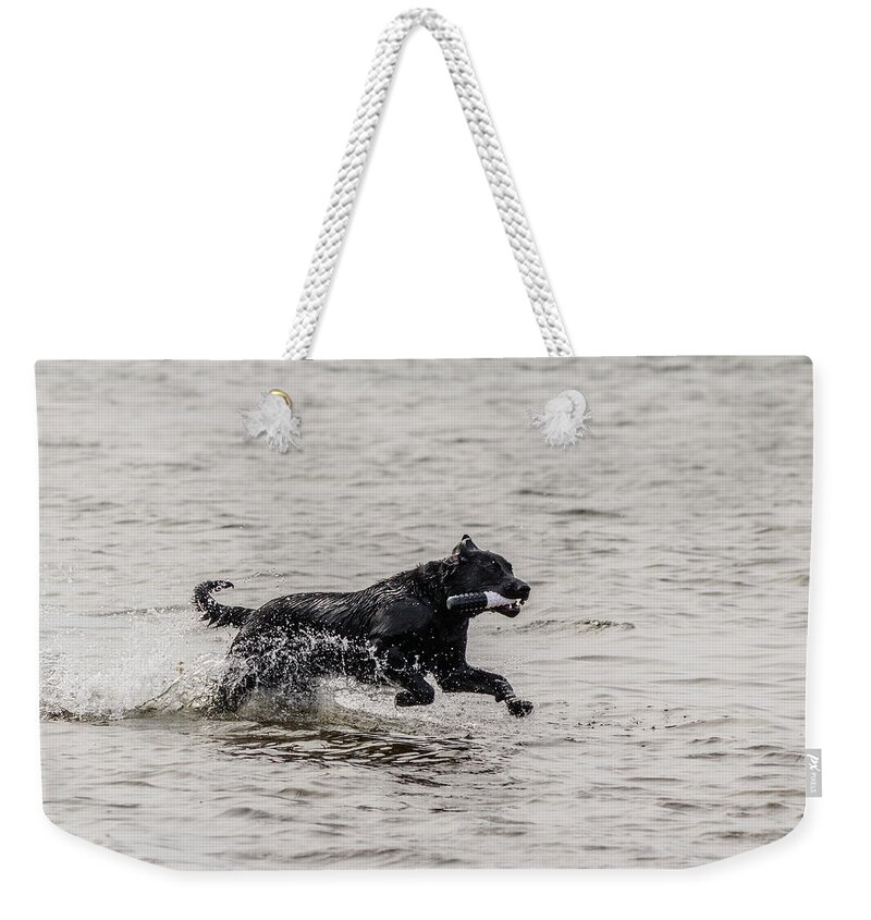 Black Dog Weekender Tote Bag featuring the photograph Dog playing in water #2 by SAURAVphoto Online Store
