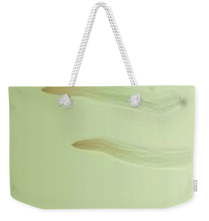 Double Sign Weekender Tote Bag featuring the painting Double Sign #2 by Archangelus Gallery