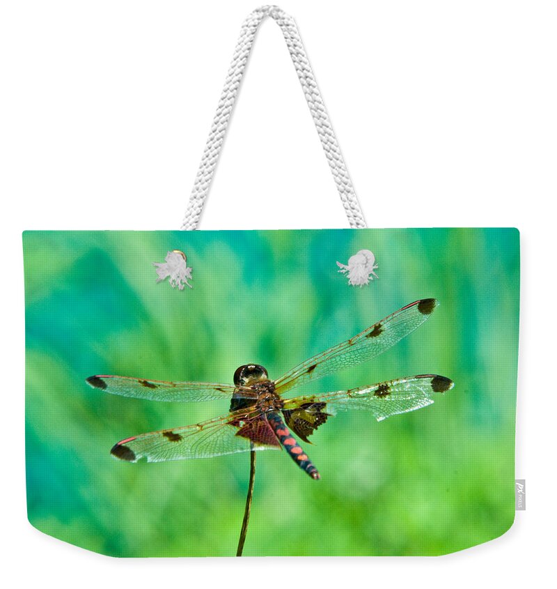 Dragonfly Weekender Tote Bag featuring the photograph Dragonfly Resting #2 by Douglas Barnett